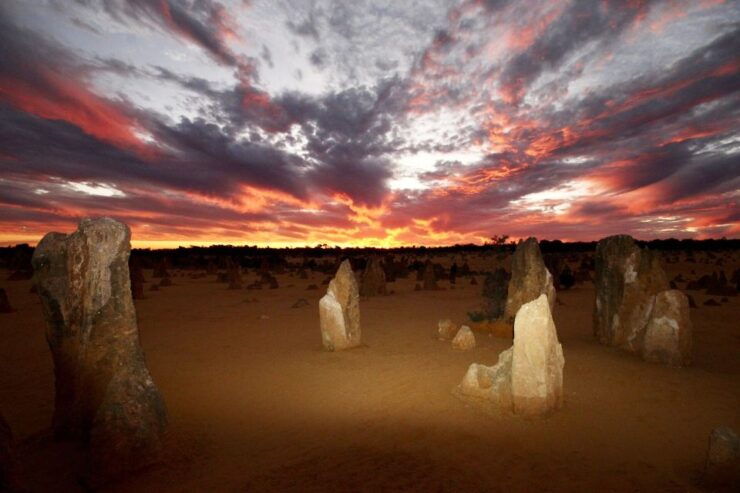 From Perth: Pinnacles Sunset and Stargazing Tour With Dinner - Tour Highlights