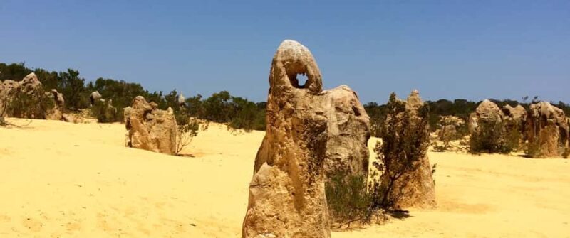 From Perth: Pinnacles Tour, Early Start, Avoid Crowds & Heat - An In-Depth Look at the Pinnacles Tour from Perth