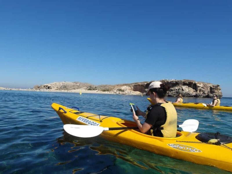 From Perth: Rockingham Seal & Penguin Islands Sea Kayak Tour - Good To Know