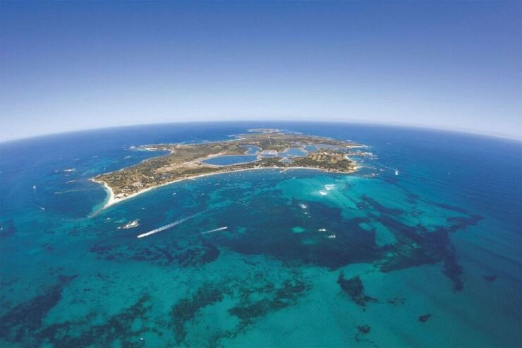 From Perth: Rottnest Island Ferry & Admission - Experience on Rottnest Island