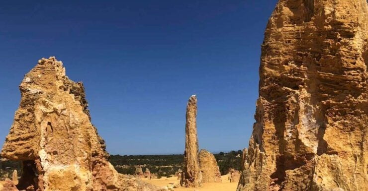 From Perth: The Pinnacles and Nambung National Park Day Trip - Tour Highlights