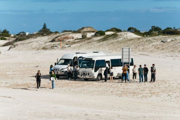 From Perth: The Pinnacles Desert Sunset and Star-Gazing Tour - Telescope Viewing of Celestial Bodies