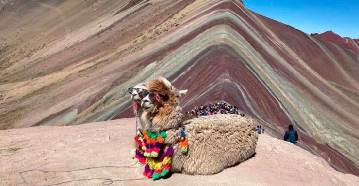 From Peru Private ATVs Tour to Rainbow Mountain Vinicunca - Activity Details and Highlights