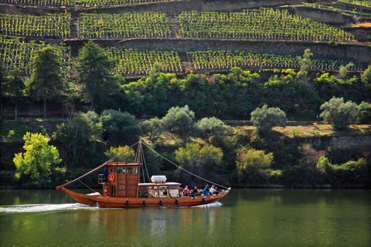 From Peso Da Régua: Wine Tasting, River Cruise and Lunch - Highlights of the Douro Valley Tour