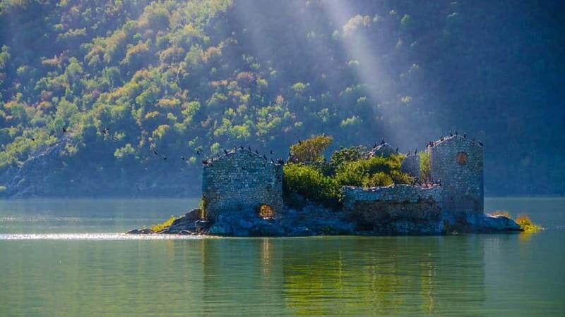 From Petrovac or Budva: Skadar Lake Cruise with Lunch - Discover Montenegro’s Natural Wonder: Skadar Lake Cruise with Lunch