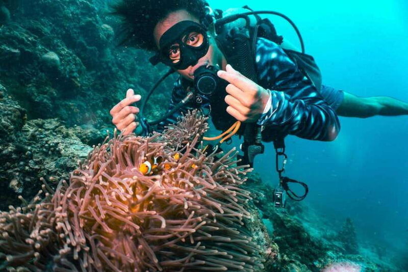 From Phi Phi: Beginner Scuba Diving Day Trip With 2 Dives - Diving Experience