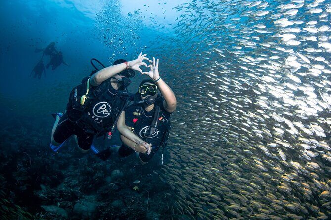 From Phi Phi Don | Half Day Discover Scuba Diving 2 Dives - Why This Tour Is a Great Choice