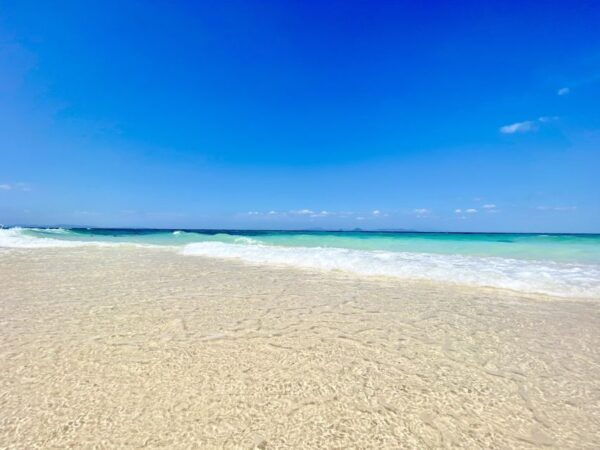 From Phi Phi Don: Sunrise and Avoid The Crowds by Speedboat - Product ID and Contact Information