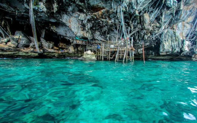 From Phi Phi: Half Day Snorkeling Trip By Longtail Boat - Inclusions and Exclusions