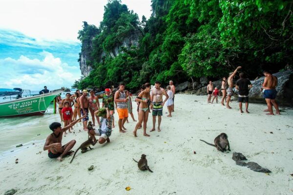 From Phi Phi: Half Day Snorkeling Trip By Longtail Boat - Break Down