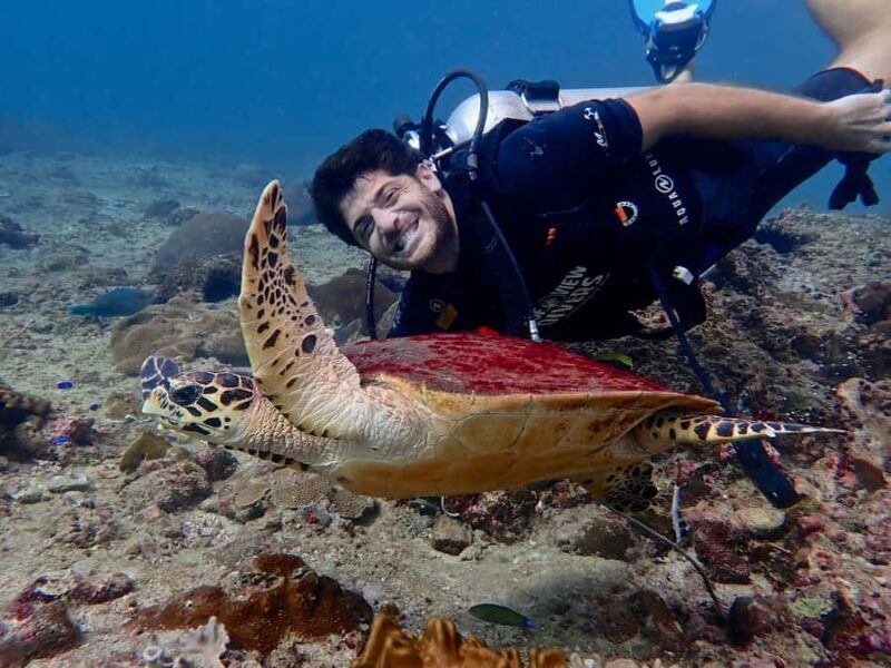 From Phi Phi: Half-Day Trip for Certified Divers (2 Dives) - What to Expect from the Half-Day Certified Diver Trip