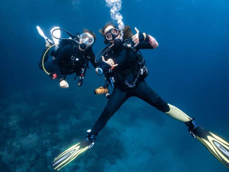 From Phi Phi: Half-Day Trip for Certified Divers (2 Dives) - The Dive Sites and Marine Encounters