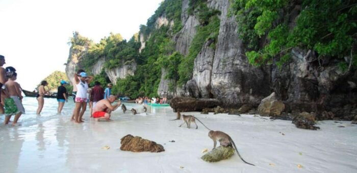 From Phi Phi Island :Half-day Tour by Longtail Boat - Frequently Asked Questions