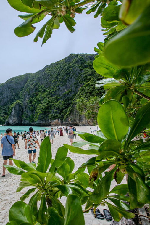From Phi Phi: Island Tour to Maya Bay With Snorkeling - Tour Logistics and Preparation