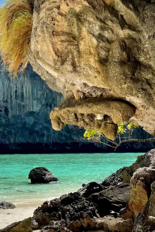 From Phi Phi : Maya Bay Longtail Boat Tour - Itinerary Highlights