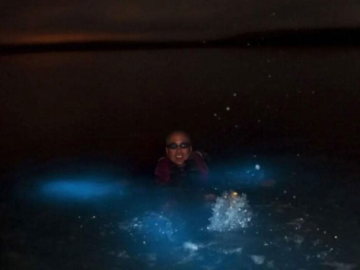 From Phi Phi: Sunset & Bioluminescent Plankton Snorkel Tour - Activity Details