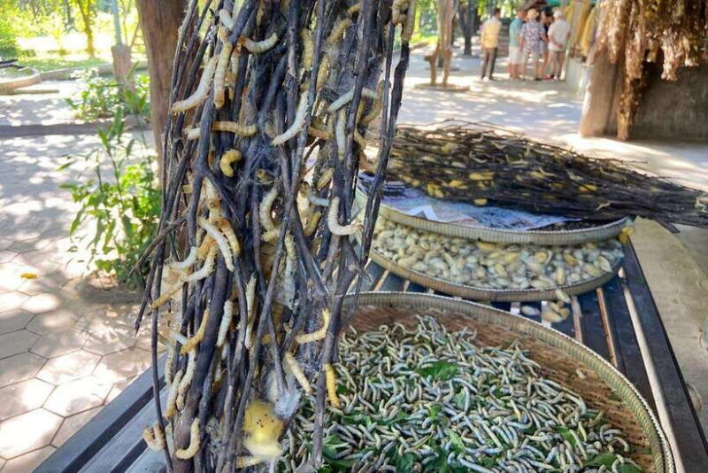 From Phnom Penh: Half-Day Silk Island Tour with Guide - What’s Included and What’s Not