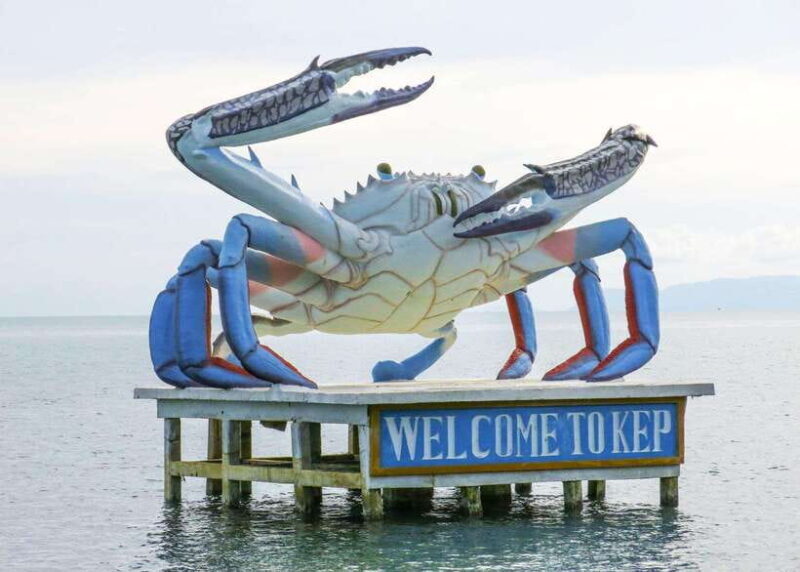 From Phnom Penh: Kampot and Kep Day Trip with English Guide - What You Can Expect from Your Guide and Transport