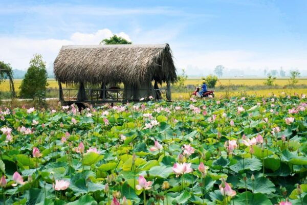 From Phnom Penh: Mekong Delta Floating Market 3 Day Exit HCM - Highlights and Activities