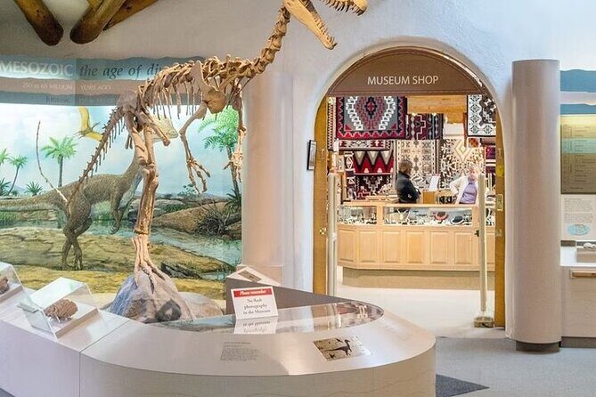 From Phoenix Flagstaff Day Shared Tour - Why This Tour Is Worth Considering