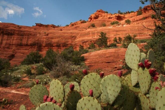 From Phoenix: Full-Day Sedona Small-Group Tour - Key Experiences in Sedona