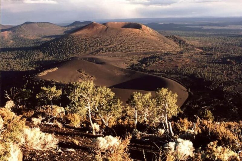 From Phoenix: Private Custom Flagstaff Day Tour - Why Choose the Private Flagstaff Day Tour?