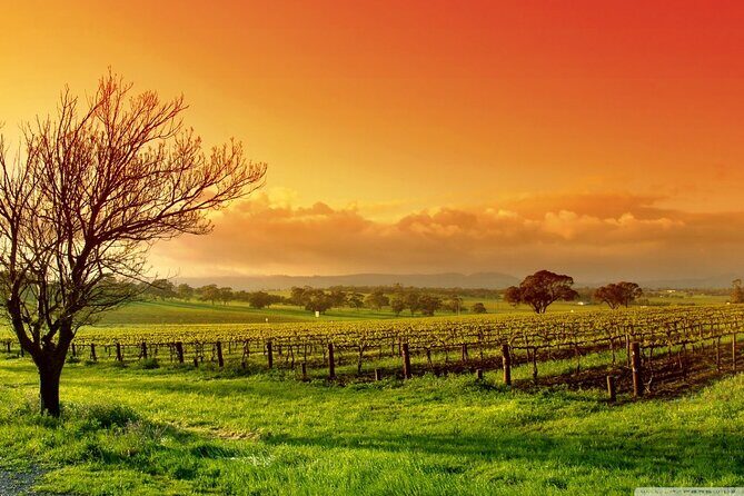 From Phoenix Private Vortex to Vineyard Tour - Final Thoughts: Is This Tour Right for You?