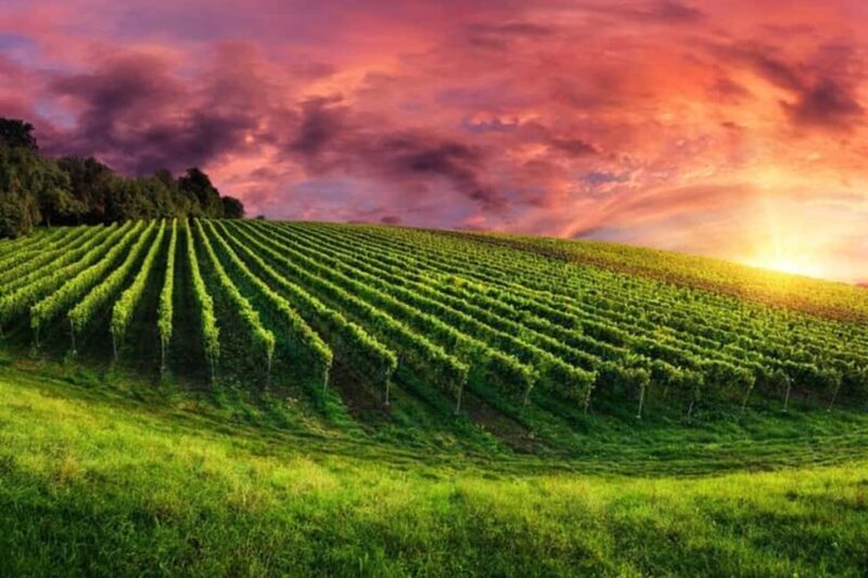 From Phoenix: Vortex to Vineyard Private Tour - Good To Know