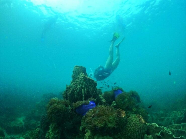 From Phu Quoc: Discover 4 Islands by Speedboat Full Day Tour - Snorkeling Adventures