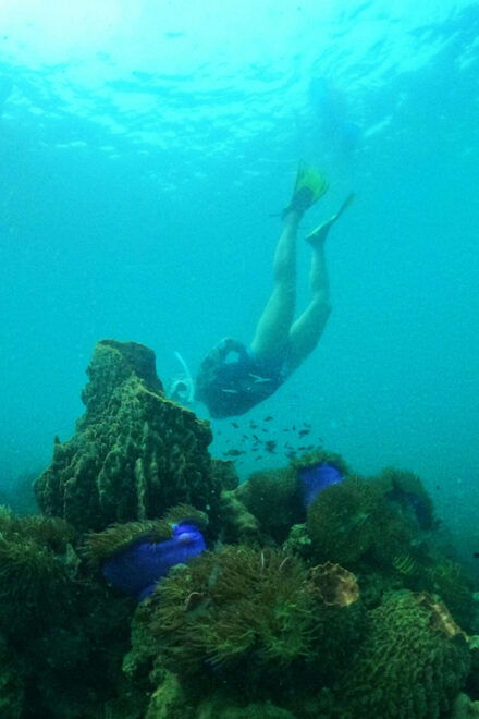 From Phu Quoc: Discover 4 Islands by Speedboat Full Day Tour - Inclusions and Amenities