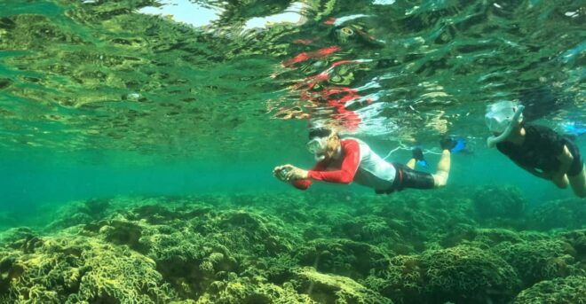 From Phu Quoc: Discover 4 Islands by Speedboat Full Day Tour - Booking Process
