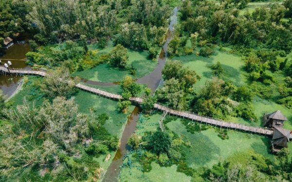 From Phu Quoc: Mekong Delta Floating Market 3 Day Exit HCM - Countryside Biking Adventure