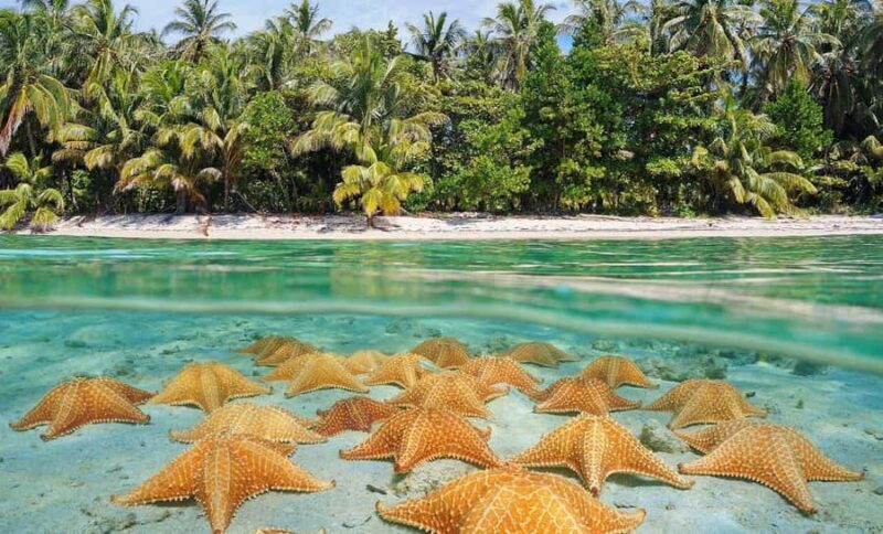 From Phu Quoc: Northern and Southern Full Day City Tour - Final Thoughts: Is This Tour Right for You?