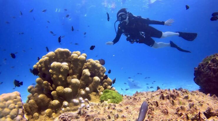 From Phuket: 3-Day SSI/PADI Open Water Diver Certification - Course Overview