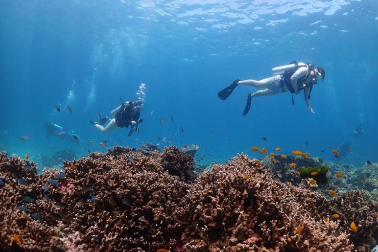 From Phuket: 3-Day SSI/PADI Open Water Diver Certification - Certification Requirements