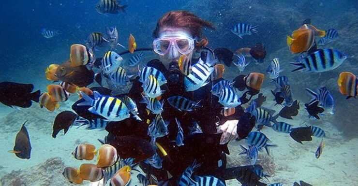 From Phuket: Advanced Open Water Diving Course - Cancellation Policy Details