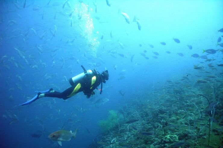 From Phuket: Advanced Open Water Diving Course - Payment Options and Flexibility