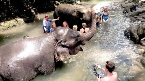 From Phuket: Elephant Care Experience With Rafting & Zipline - Directions