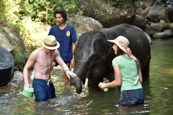 From Phuket: Elephant Care Experience With Rafting & Zipline - Common Questions