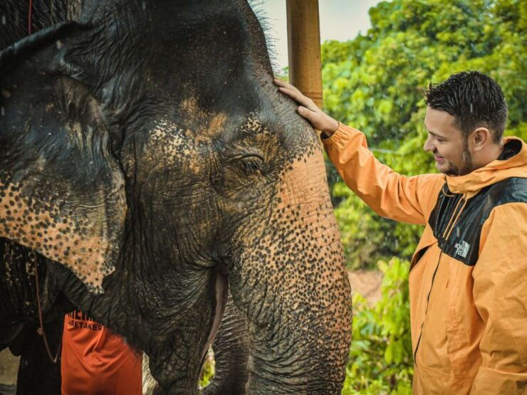 From Phuket: Elephant Jungle Sanctuary Feed and Shower Trip - Experience Highlights