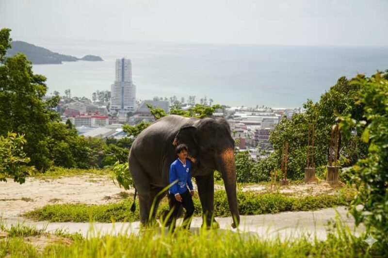 From Phuket: Elephant Sanctuary, Big Buddha & Old Town Tour - Good To Know