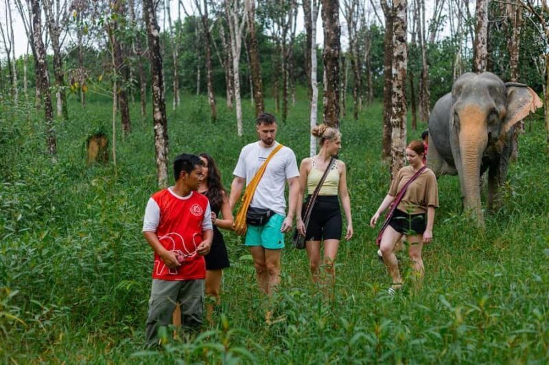 From Phuket: Khao Lak ATV, Zipline, Rafting & Wildlife Tour - Good To Know