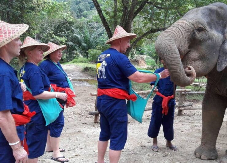 From Phuket & Khao Lak: Elephant Care With Waterfall Visit - Activity Details