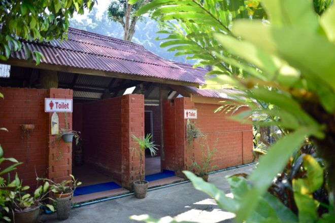 From Phuket & Khao Lak: Elephant Care With Waterfall Visit - Customer Reviews