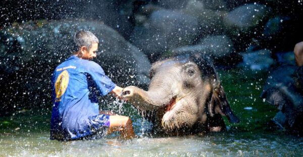 From Phuket & Khao Lak: Elephant Care With Waterfall Visit - Directions