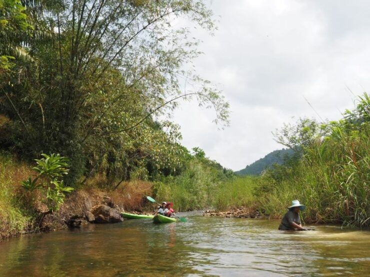 From Phuket & Khao Lak: River Kayak & Elephant Care - Activities Included