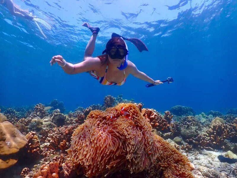 From Phuket: Koh Haa & Koh Rok Day Tour with Snorkel, Lunch - Good To Know