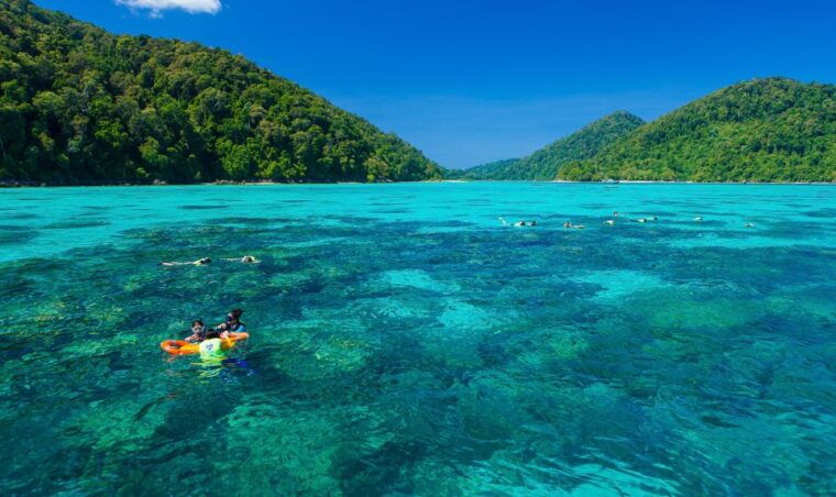 From Phuket or Khaolak: Surin Islands Day Trip - What to Expect During the Snorkeling Adventure
