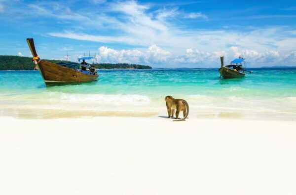From Phuket: Phi Phi Island and Khai Island by Speed Boat - Tips for Travelers