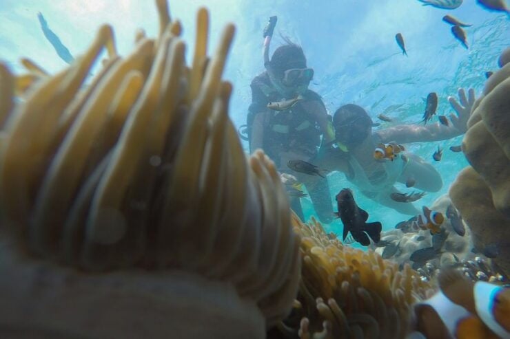 From Phuket: Phi Phi, Maya, Bamboo, & Maiton Island Day Trip - Pickup Information